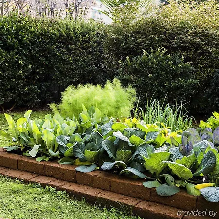 A&o Ca Granda Отель